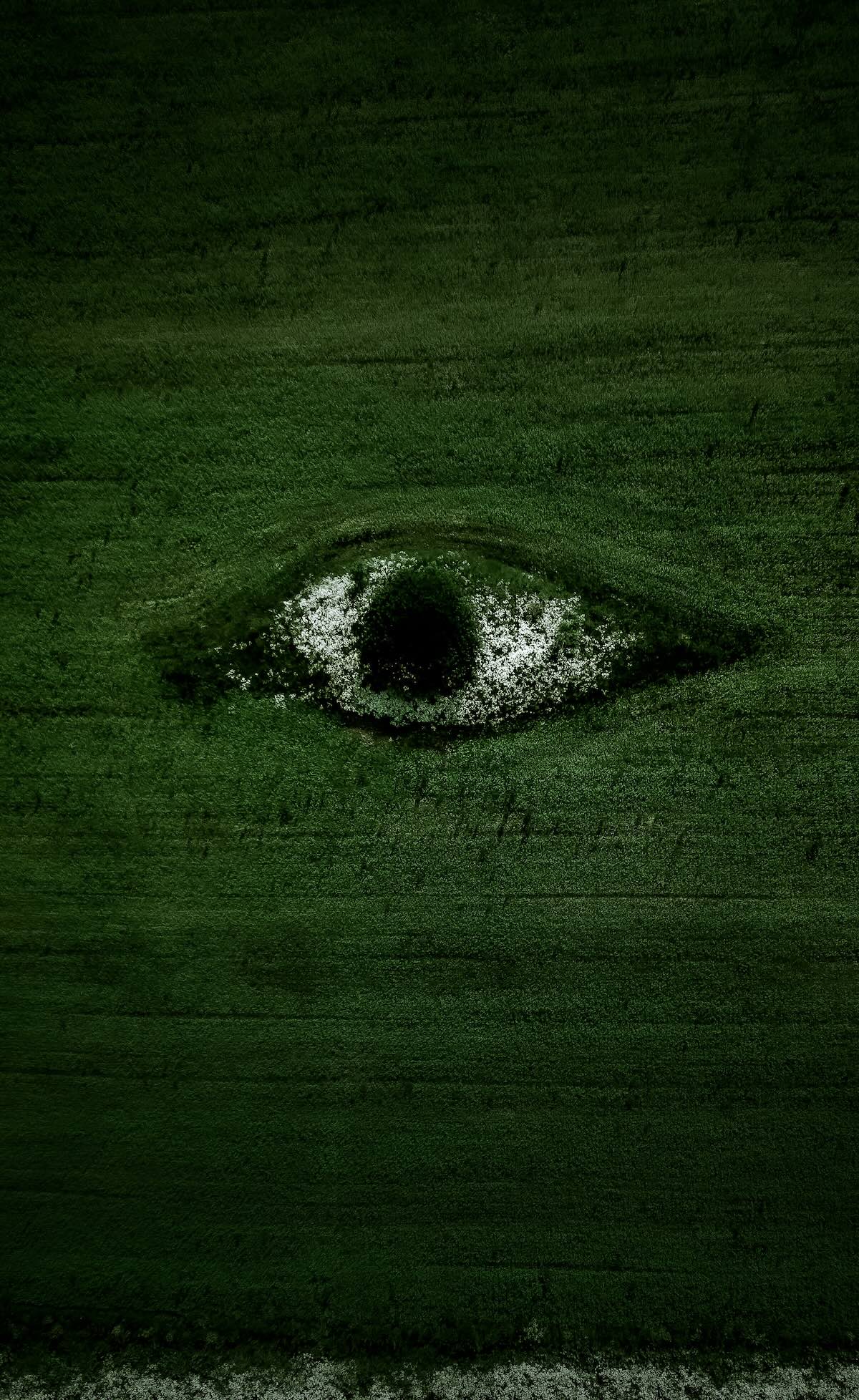 Green forest canopy with flowers forming an eye, symbolising sustainability and environmental awareness